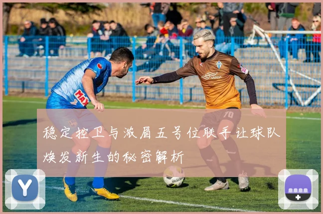 稳定控卫与浓眉五号位联手让球队焕发新生的秘密解析